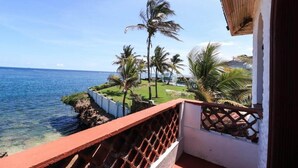 Ein Balkon mit Blick auf das Meer und Palmen.