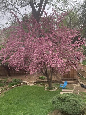 Property grounds - Upper Georgetown, American University. (Washington)