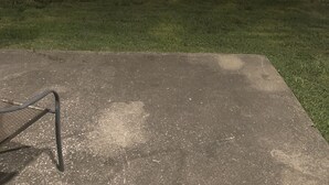 A concrete patio area with a metal bench. - Large Modern Smart House, voice controlled (Bloomington)