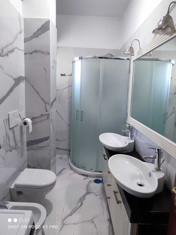 Shower, hair dryer, bidet, towels