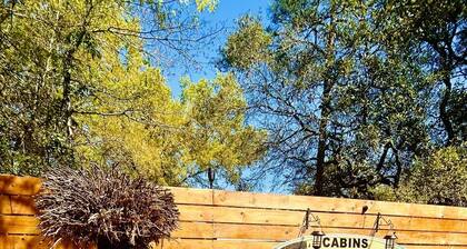 Cabin Zancudo: a Hidden Gem!