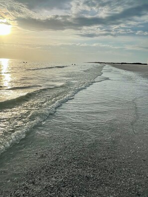 Sun-loungers, beach towels - WELCOME- MARCO ISLAND BEACH LIFEISGOOD STYLISH HOME! FOOD, FUN, SUN & MEMORIES! (Marco Island)