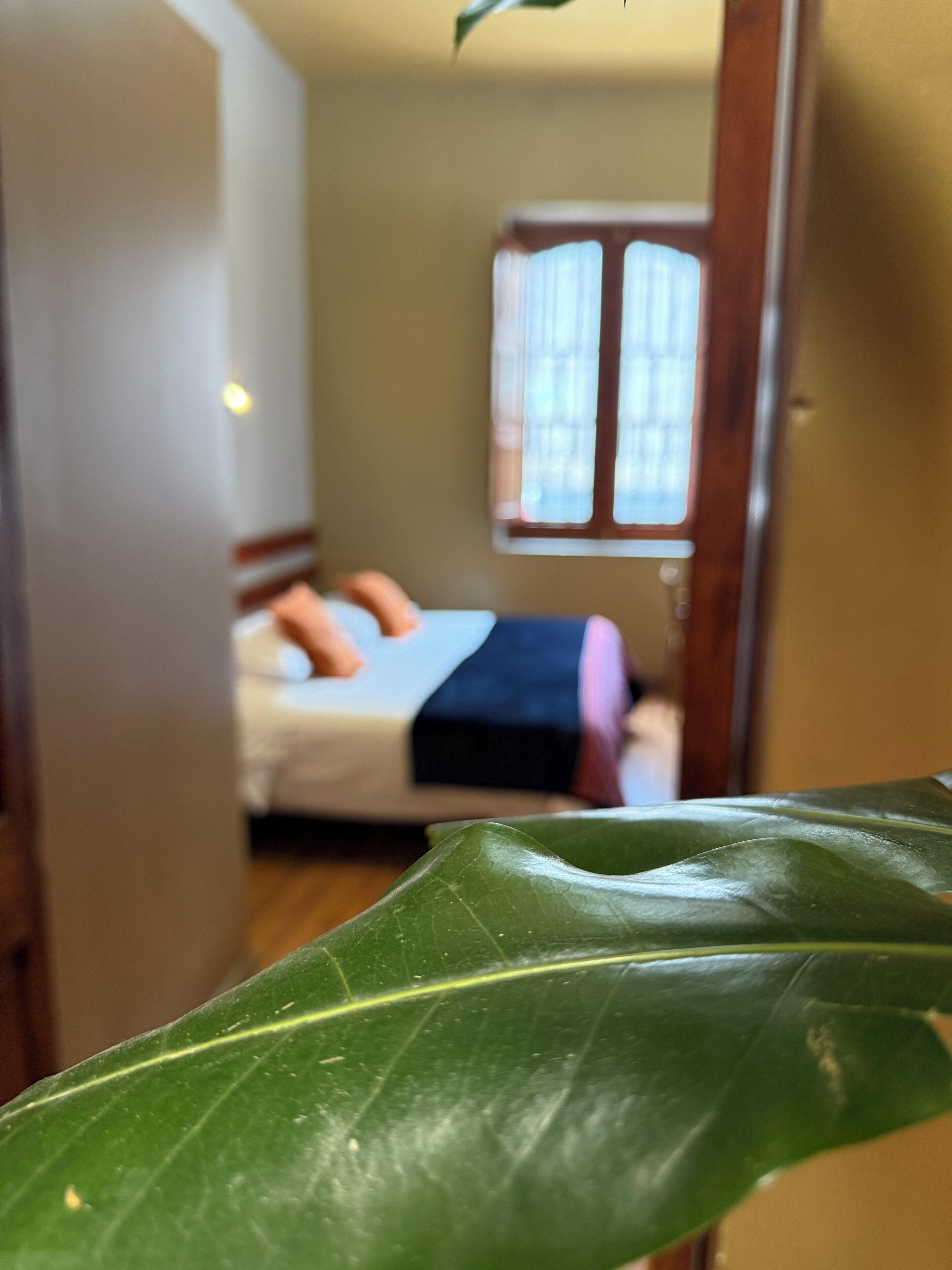 Photo - La Casona de Palacio Viejo