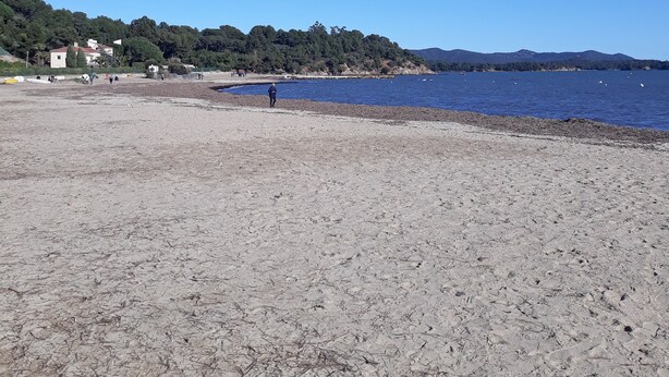 Uma praia com céu claro, faixa de areia e algumas pessoas caminhando.