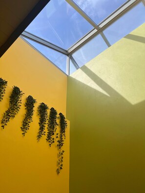 Ein Oberlicht mit freiem Blick auf den Himmel, eine gelbe Wand und hängende Bepflanzung.