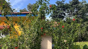 Un sentier bordé d’une végétation luxuriante et de fleurs rouges, qui mène à un bâtiment doté d’un toit en tuiles.
