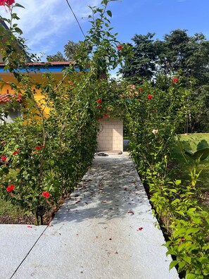 Un sendero bordeado por abundante follaje verde y flores rojas que conduce a un edificio con techo de tejas.