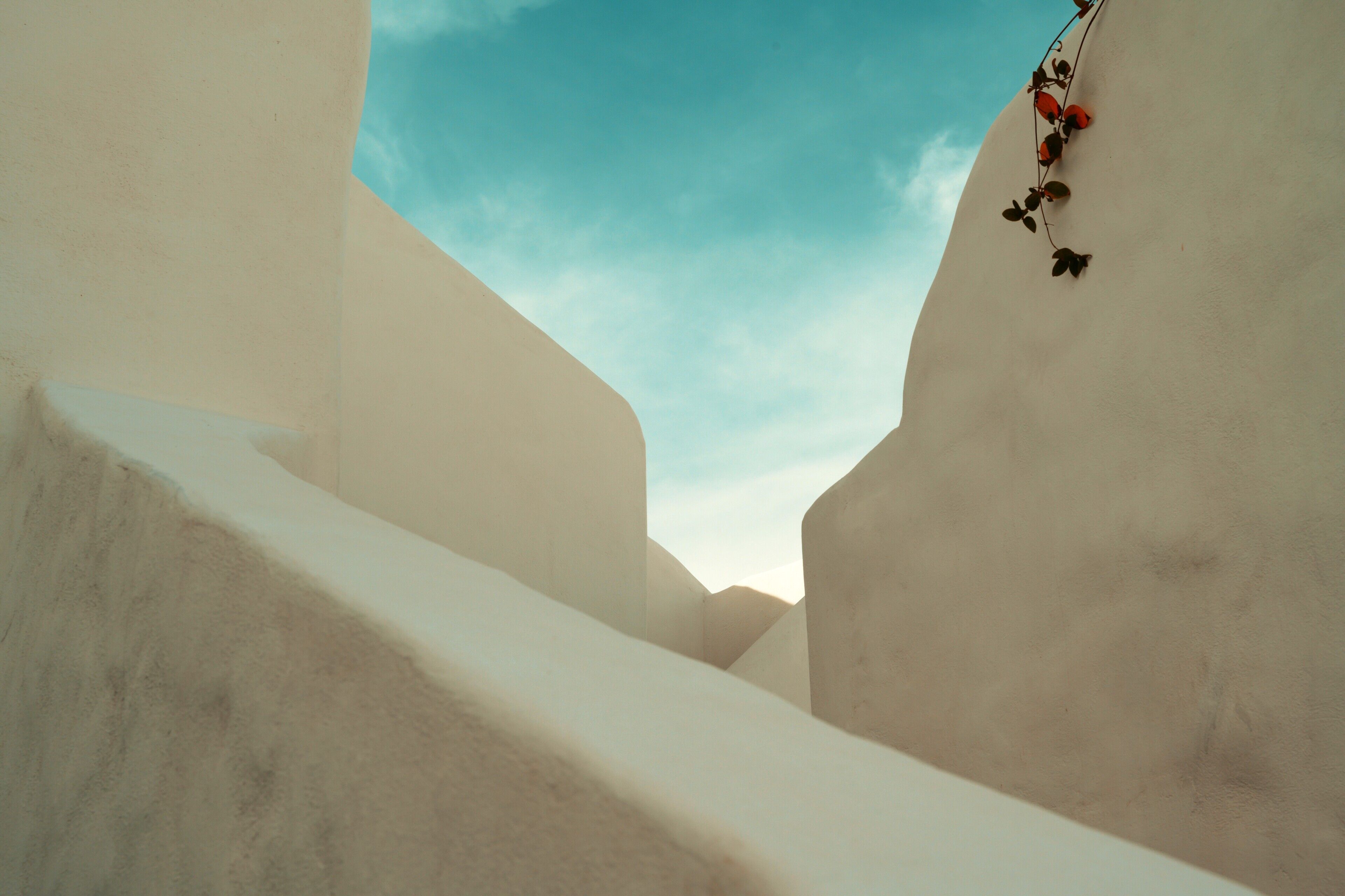 Foto - Historical Villa Santa Croce