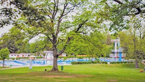 Pool - Ferienwohnung Friedrichroda (Friedrichroda)