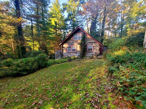 Firefly Cabin-1930`s Retreat: Bikes, BBQ, walk dtn