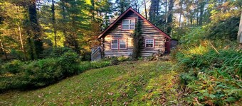 Firefly Cabin-1930`s Retreat: Bikes, BBQ, walk dtn
