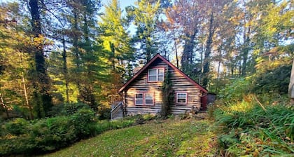 Firefly Cabin-1930's Retreat: Bikes, BBQ, walk dtn