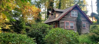 Firefly Cabin-1930`s Retreat: Bikes, BBQ, walk dtn