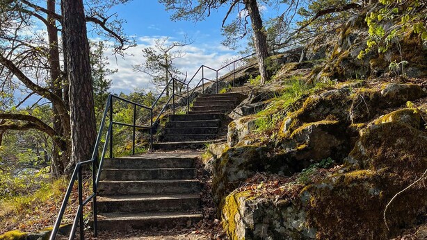 Un conjunto de escalones de piedra que suben por una ladera rocosa, rodeados de árboles y follaje.