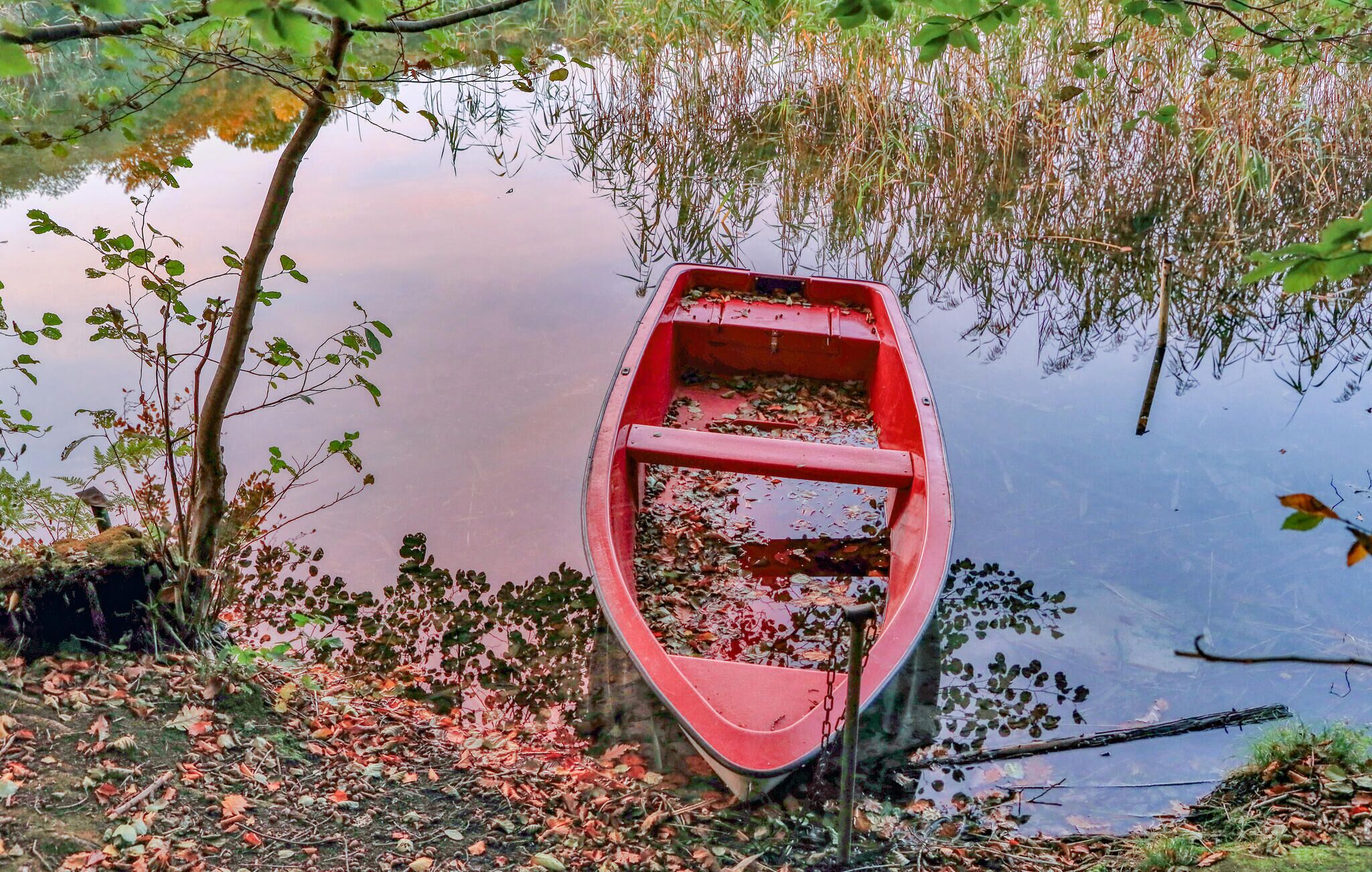 A red rowboat tied to a dock with a calm water body and surrounding foliage.