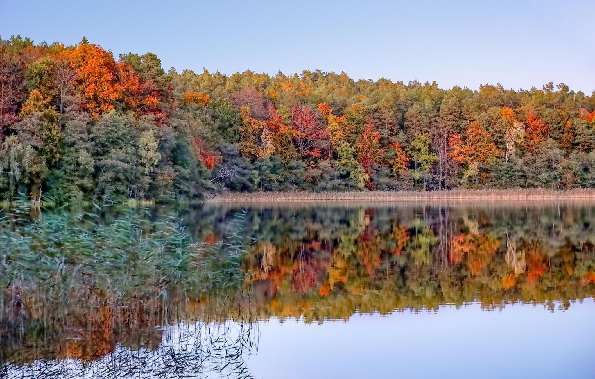 Un lac paisible qui reflète une forêt aux couleurs automnales.