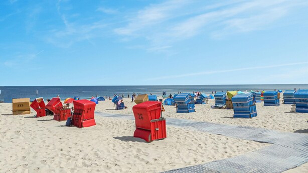 Une plage bordée de rangées de chaises de plage et de parasols bleus et rouges, offrant une vue dégagée sur l’océan.