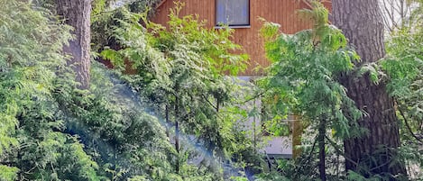 A wooden cabin nestled among tall trees, with a window and a door visible.