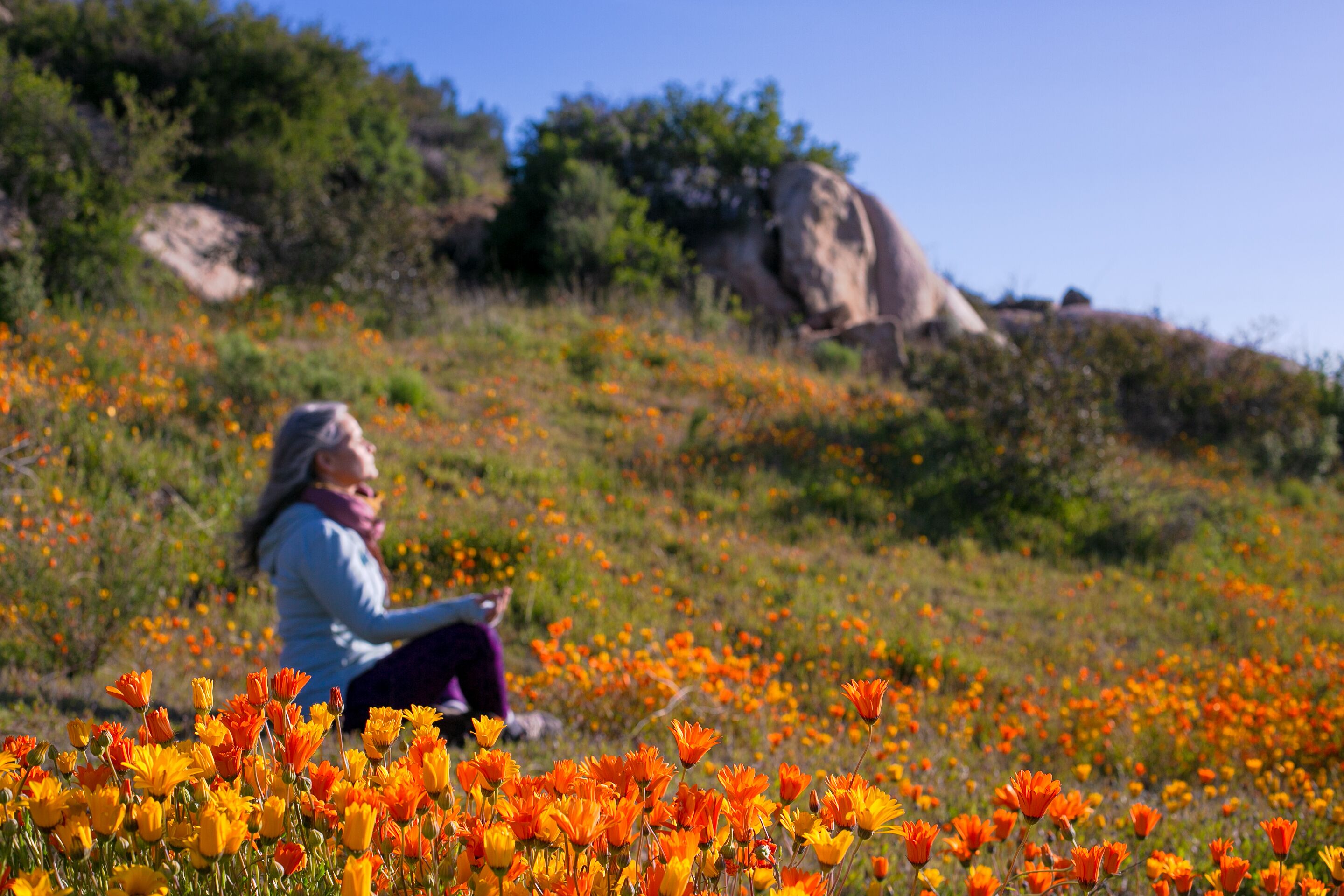 A person sitting on a grassy hill with orange flowers in the foreground.