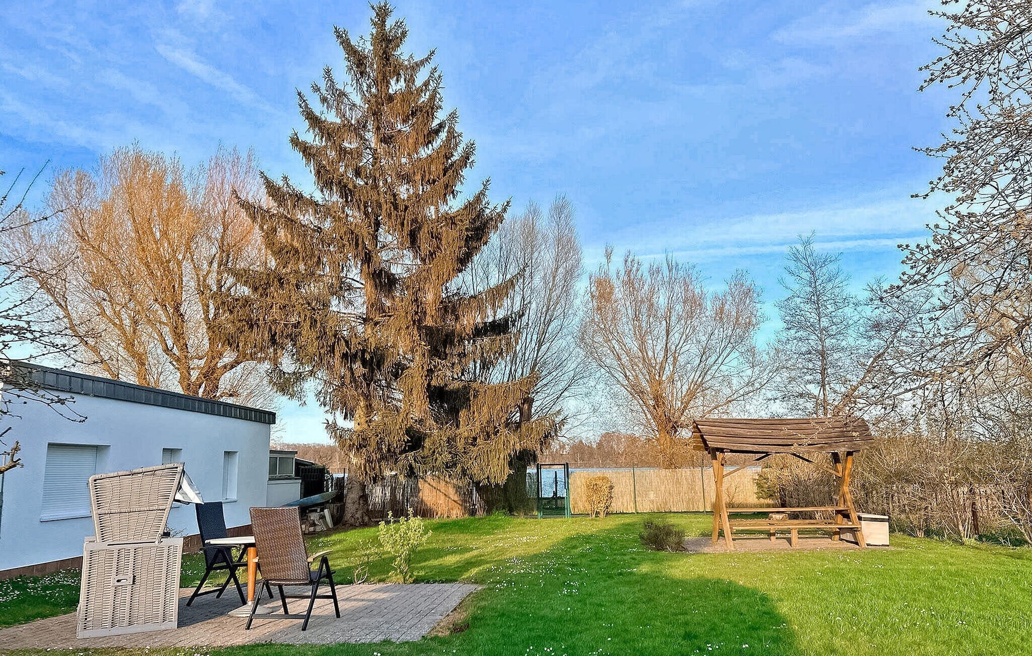 A residential property with a patio area, a wooden deck, and a large coniferous tree.