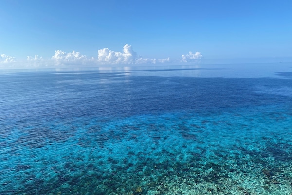 View from the terrace.