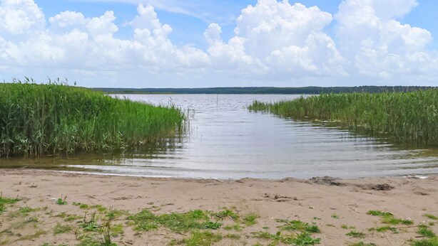 A river with a sandy bank and tall grasses on both sides. - 2 bedroom awesome home in Wesenberg (Wesenberg)