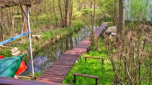 Un paseo marítimo de madera que atraviesa un área boscosa con un estanque, rodeado de follaje y árboles.