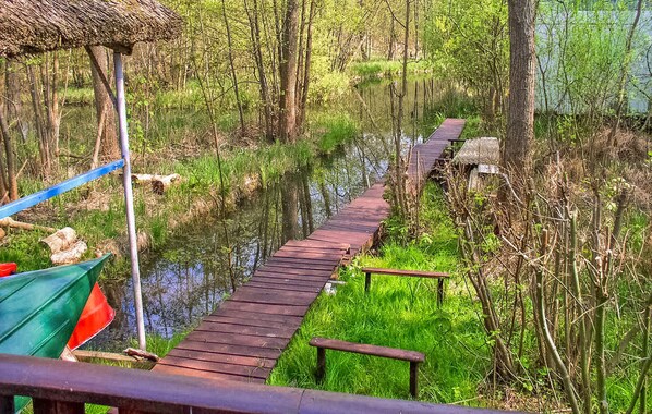 A wooden boardwalk through a forested area with a pond, surrounded by greenery and trees. - Ferienhaus Rheinsberg OT Kagar (Rheinsberg OT Kagar)