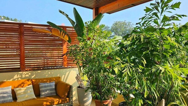 Un espace extérieur aménagé avec des meubles en osier, un ventilateur de plafond en bois et des plantes en pot.