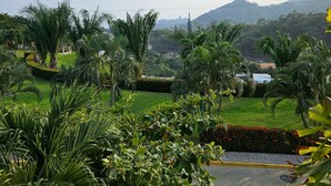Un jardin luxuriant, agrémenté de palmiers et d’une pelouse bien entretenue, qui offre une vue sur des collines lointaines.