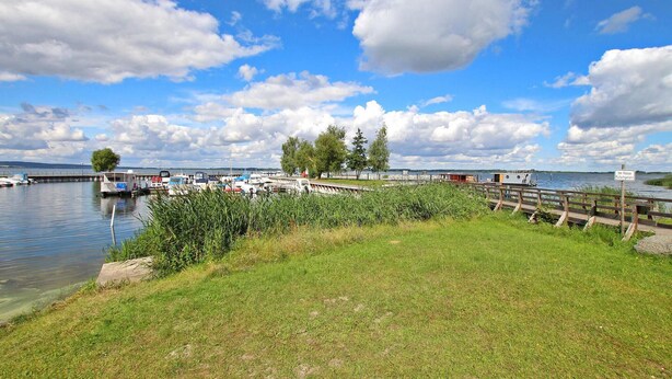 A marina with boats docked, a grassy area, and a wooden fence. - Ferienwohnung Meesiger (Meesiger)