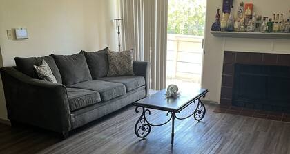 Cozy North Dallas Apartment