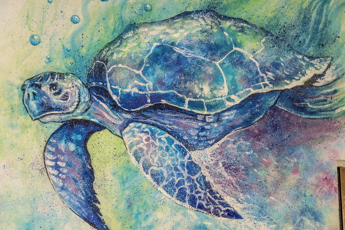 Eine Schildkröte mit einer gemusterten Schale und einem strukturierten Hals.