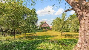 Un paysage rural avec une maison traditionnelle entourée d’une végétation luxuriante et d’arbres.
