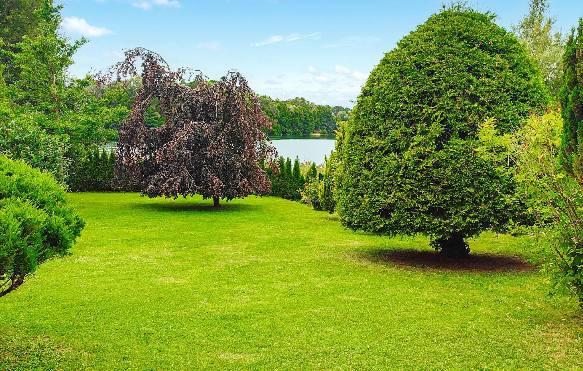 Un jardí ben cuidat amb diverses espècies d'arbres i una vista despejada d'un llac.