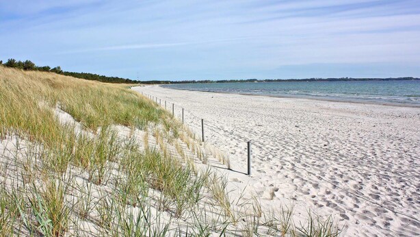 A sandy beach with a grassy dune area and a clear sky. - Ferienwohnung Ostseebad Breege (Ostseebad Breege OT Ju)