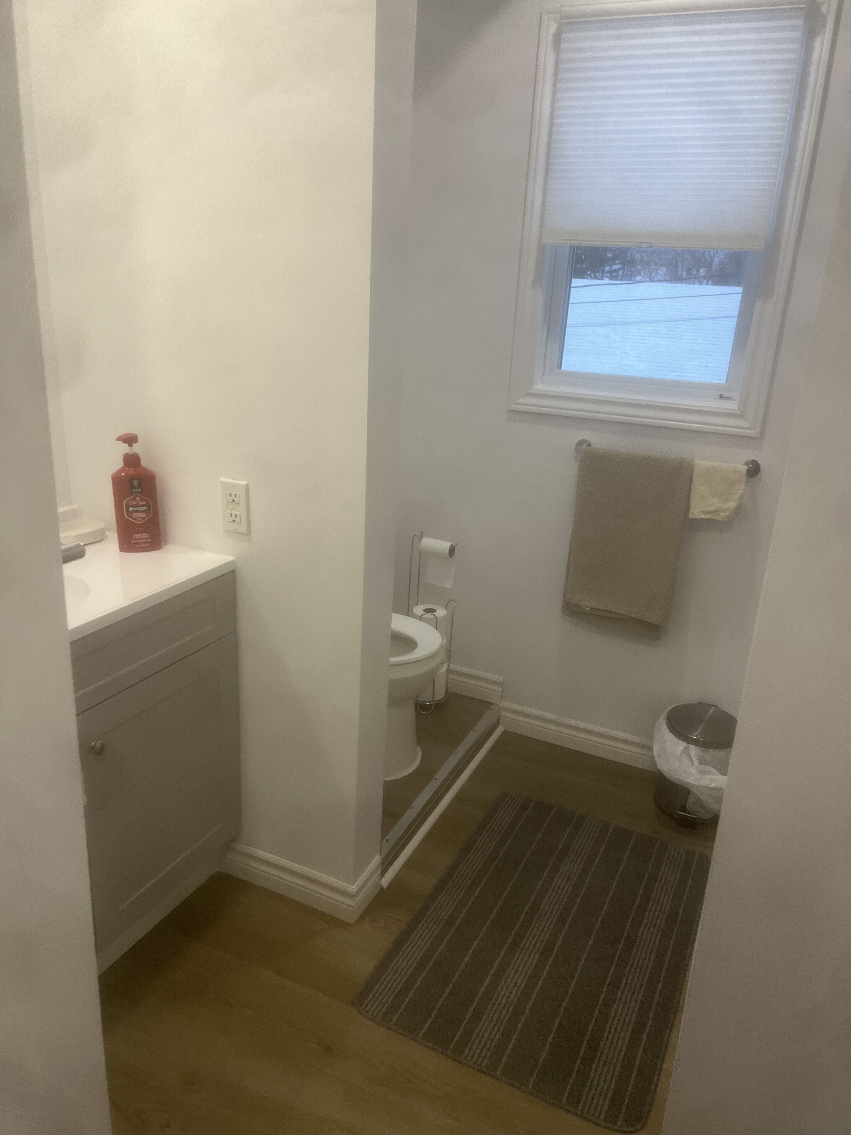 Secador de cabelo, toalhas de banho, sabonete, shampoo