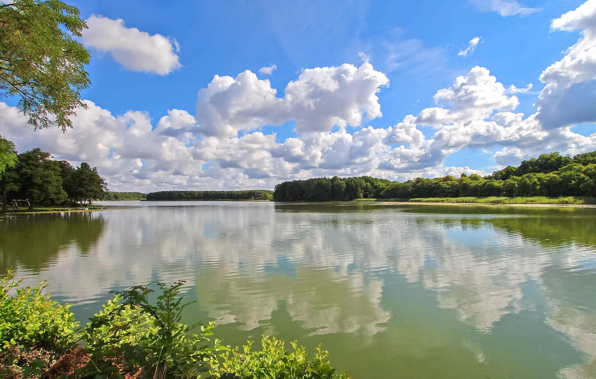 Un lago tranquilo que refleja claramente el cielo y la vegetación circundante.