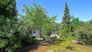 A rustic cabin surrounded by dense greenery and trees.