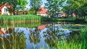 Ein friedlicher Teich, umgeben von viel Grün und Häusern.
