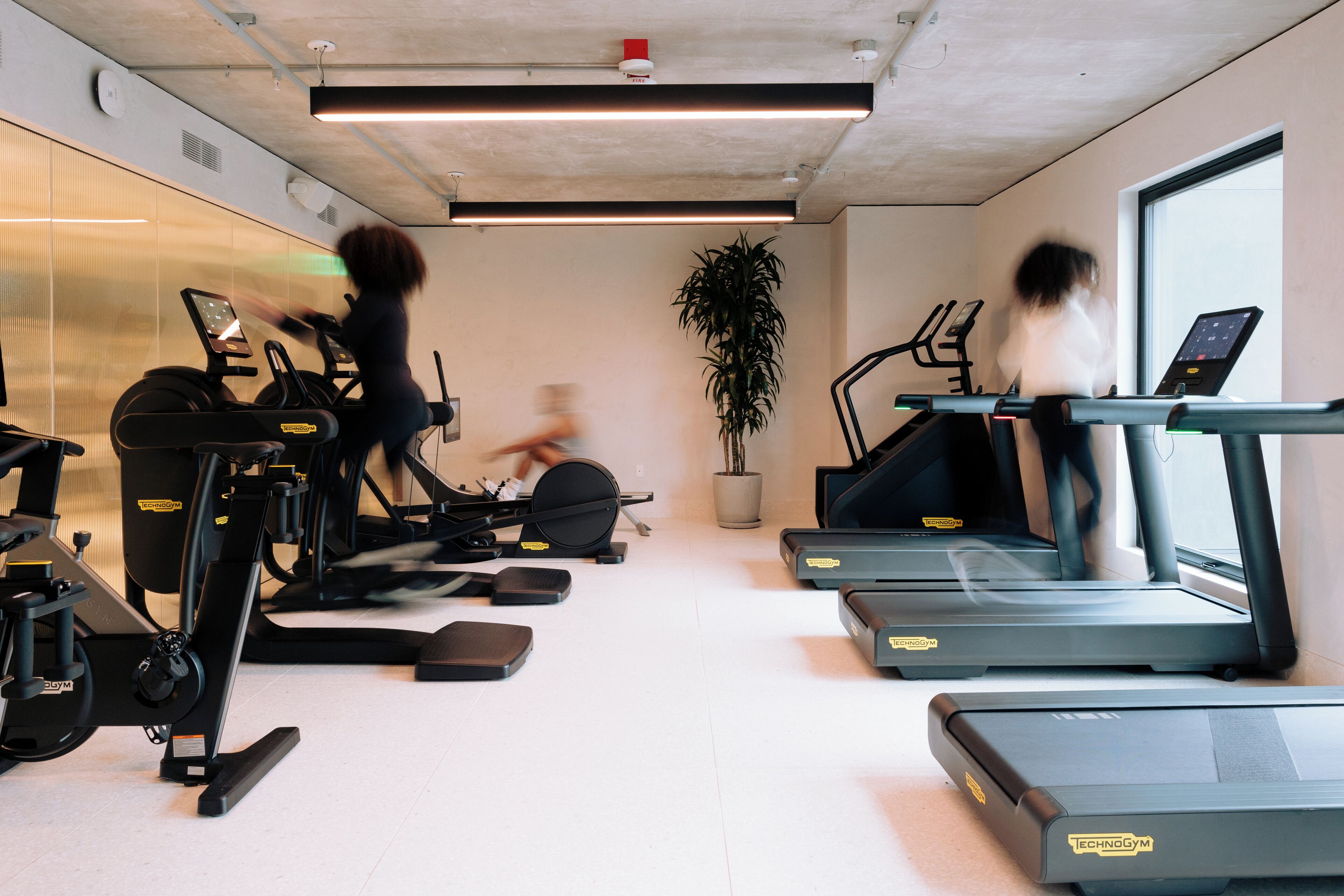 A gym with treadmills, ellipticals, and a stationary bike.