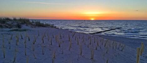 بالقرب من الشاطئ