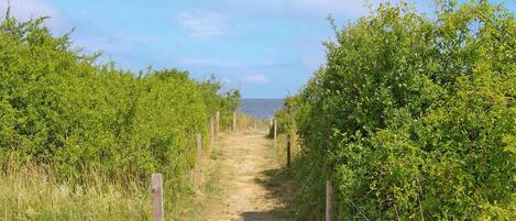 Un étroit sentier de terre, bordé d’une végétation luxuriante, mène à un plan d’eau.
