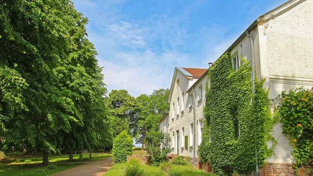 A row of white buildings with ivy-covered walls, a gravel path, and lush greenery. - Ferienwohnung Ankershagen (Ankershagen OT Friedri)