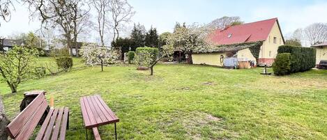 Une cour gazonnée avec une table de pique-nique et un petit abri de jardin.