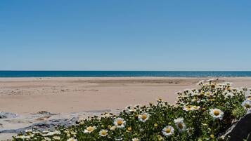 Una playa cerca