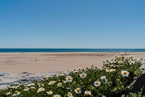 ROM12 Appartement T2 en front de mer avec WIFI inclus