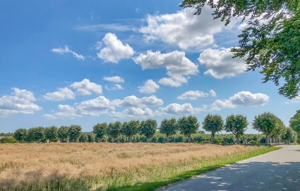 Un paysage rural avec un ciel dégagé, une route et un champ d’herbe sèche.