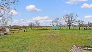 A grassy field with a green trailer, a brick pathway, and leafless trees.