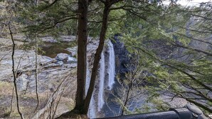 A waterfall cascading down a rocky cliff surrounded by trees.